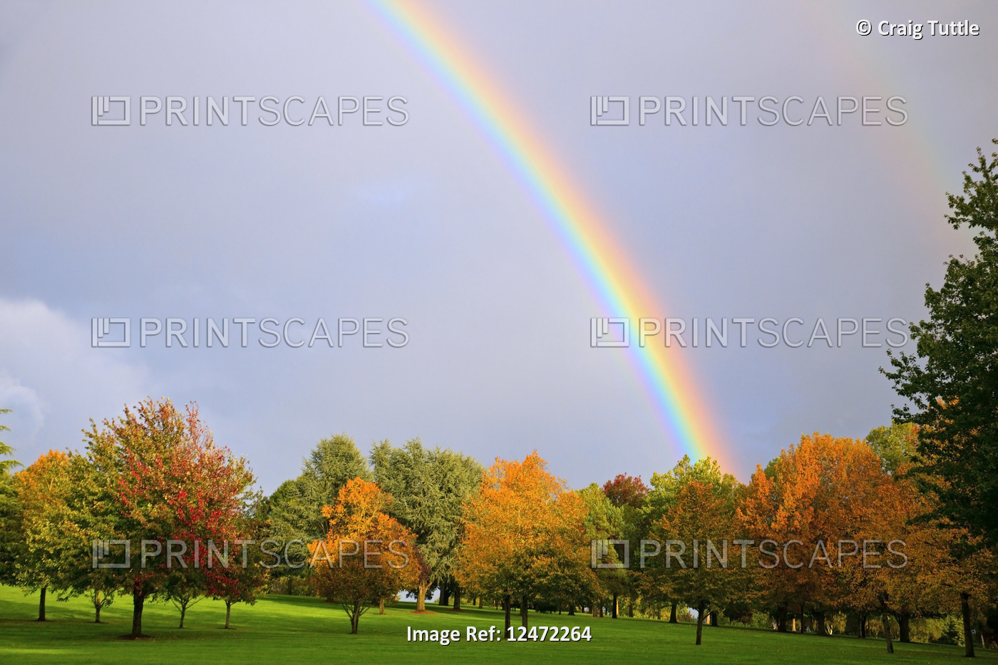 rainbow over fall color trees, Portland Park, Oregon, Pacific Northwest