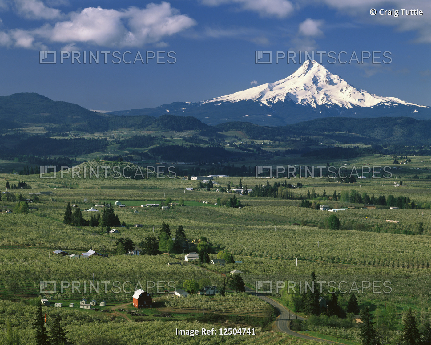 Hood River Valley and Mount Hood